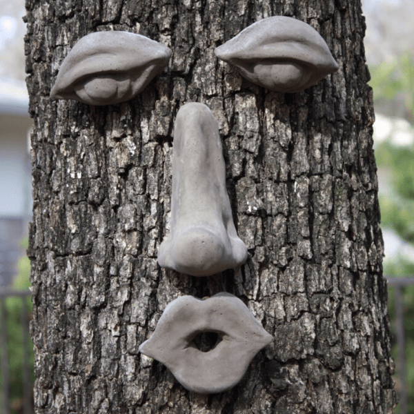 Mr Byrd Tree Face | Genuine Tree Peeple