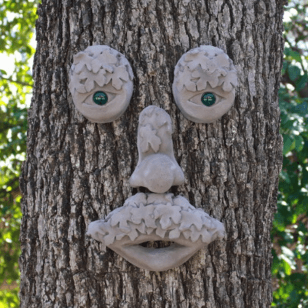 Mr MapleShade Tree Face