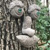 Woodchuck Tree Face Side View