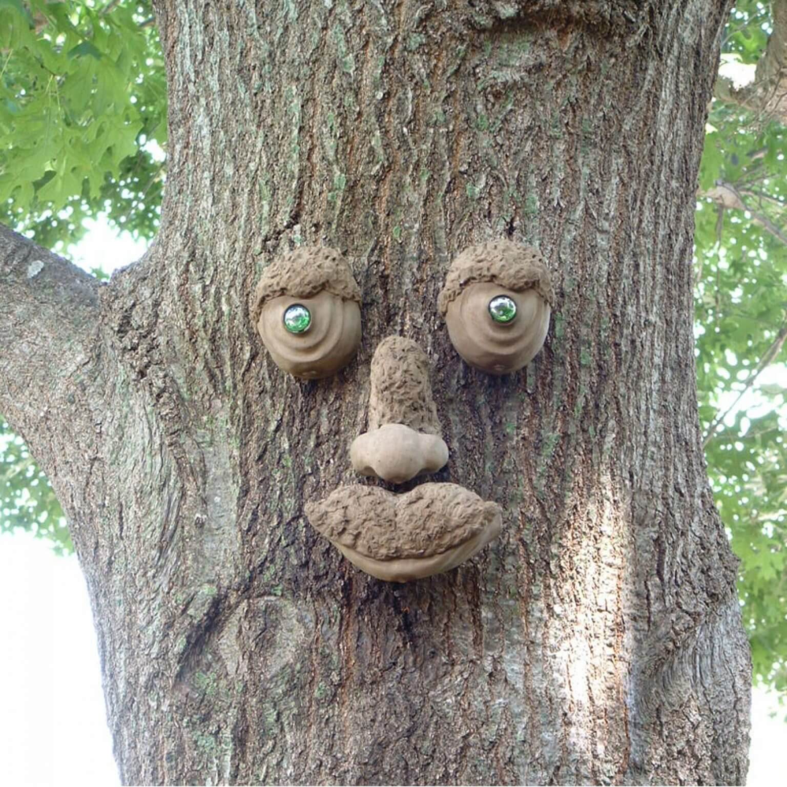 Tree face