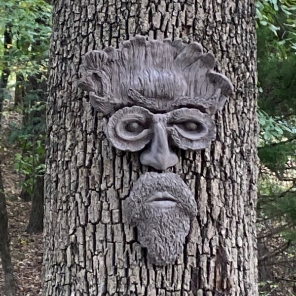 Sylvan Barktone Tree Face | Genuine Tree Peeple