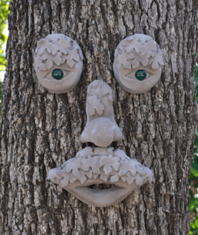 Mr Mapleshade Tree Face | Genuine Tree Peeple