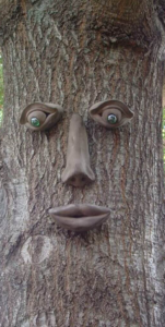 Whimsical Tree Faces | Tree Peeple | Garden Forest Faces