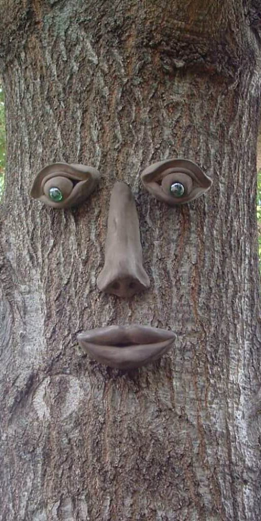 Simon Tree Face | Genuine Tree Peeple